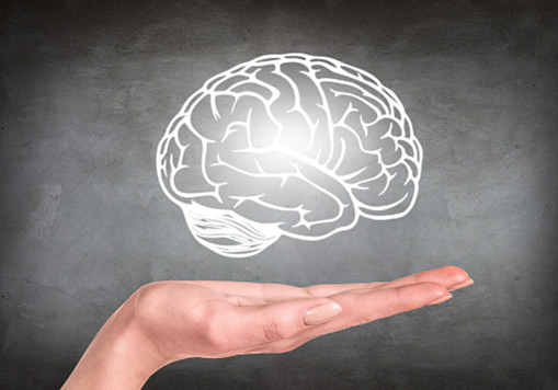 Healthy Minds Brain Image